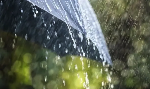 暴雨+强对流天气双预警齐发，黑龙江、四川等地将有大暴雨