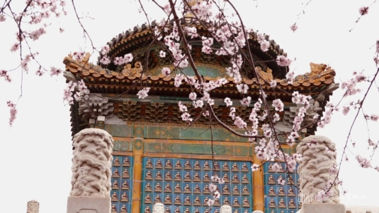 泡脚(5)