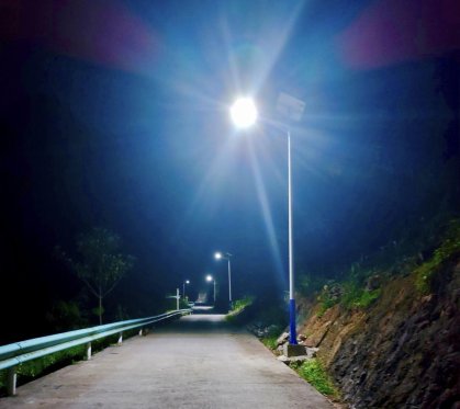 芭茅路灯1