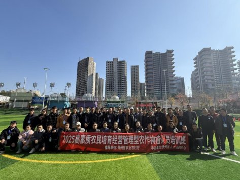 微信图片_20251121175150_242_3