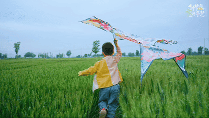 放风筝.gif