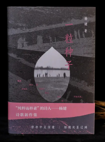 QQ_1779178085423