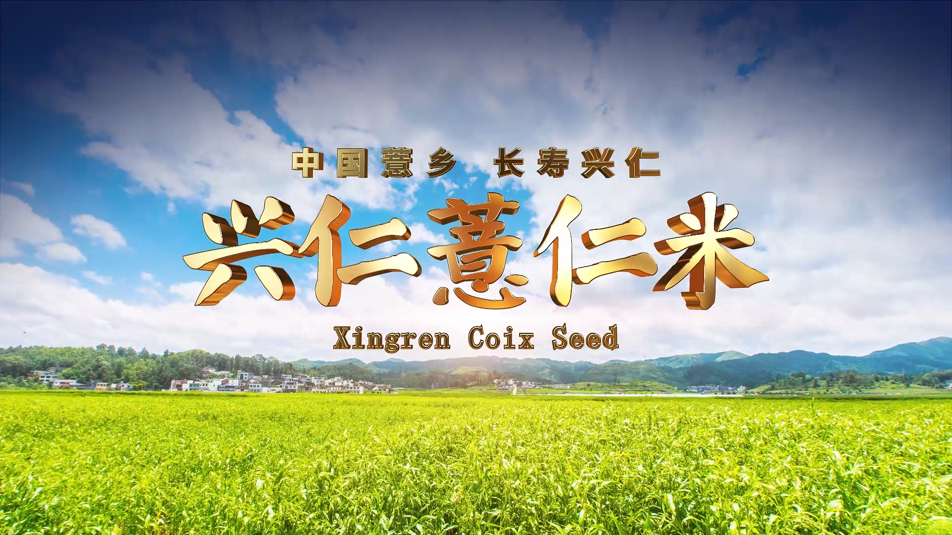 财经贵州丨从原料产地到规则制定者！兴仁薏仁米国际交易中心开市出圈 解锁县域共富新路径