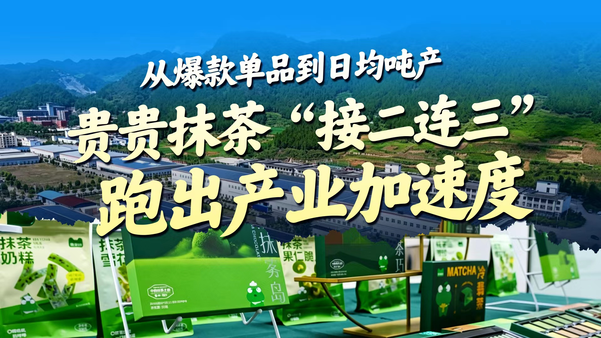 海报丨从爆款单品到日均吨产，贵贵抹茶“接二连三”跑出产业加速度
