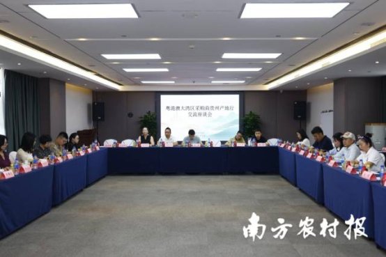 粤港澳大湾区采购商贵州产地行活动交流座谈会。李思乐摄