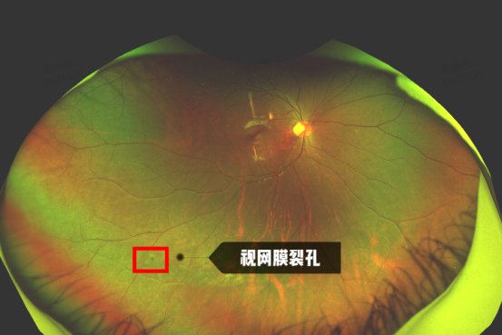 6a8f5612-0208-4c53-a8c0-fa2cc3d98c2b