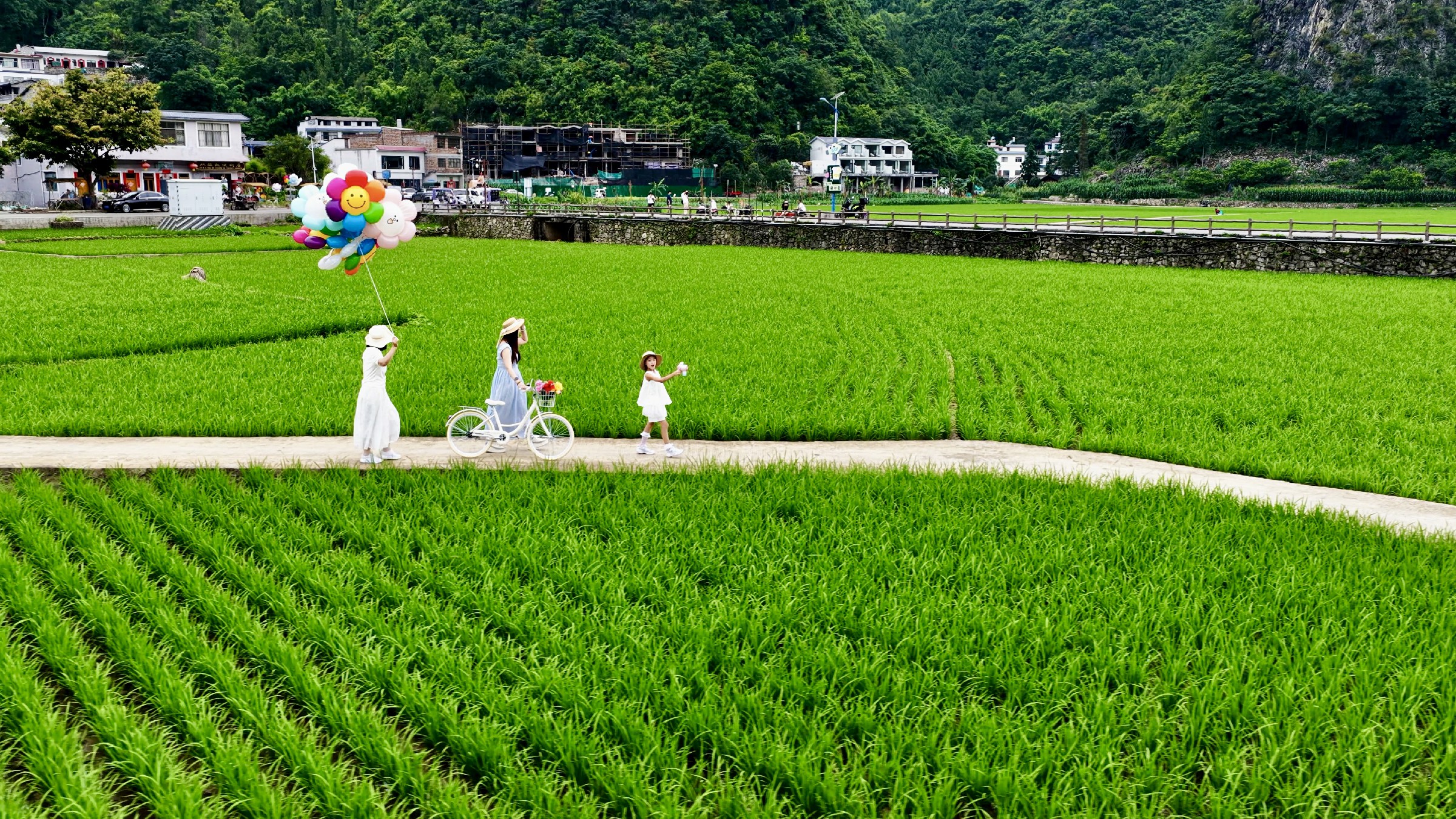兴义万峰林：绿色稻田变身“风景田”“幸福田”