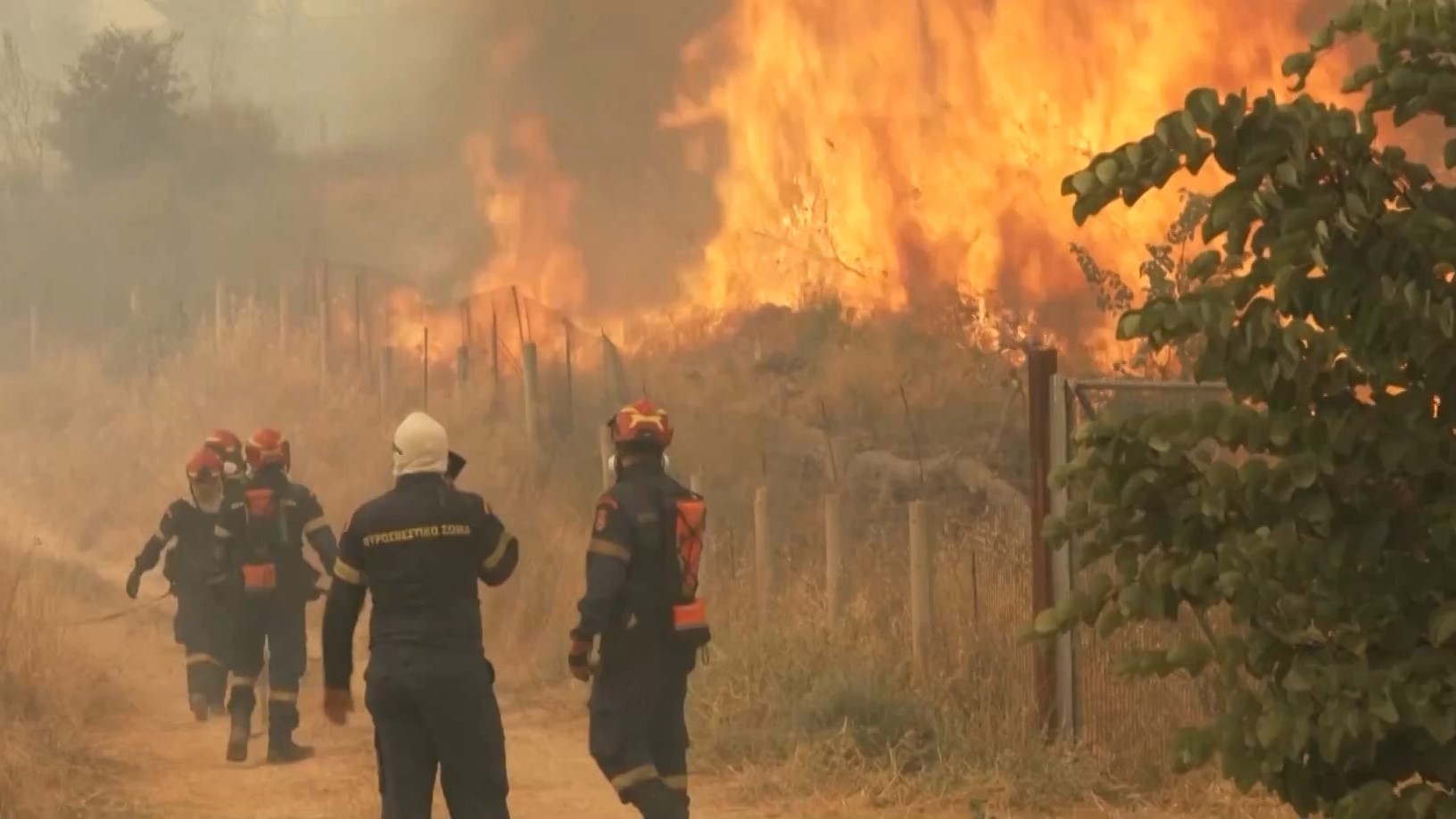 希腊多地林火持续燃烧 风势增加灭火难度