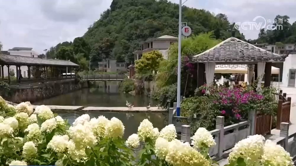 央视关注贵州：盘活闲置资源，多元消费业态激活乡村活力
