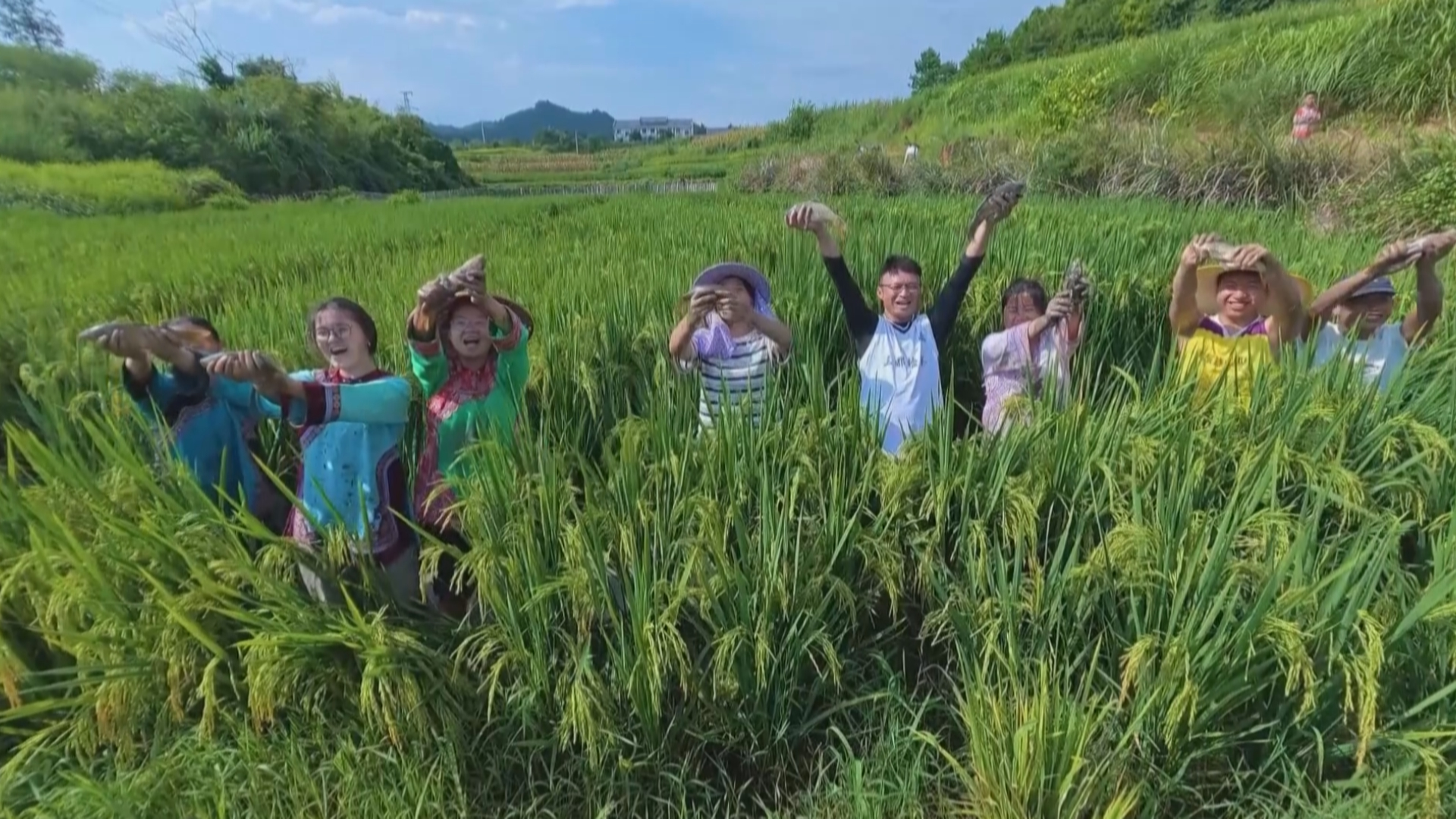 贵州三都：稻鱼共生 一地两用 一季双收