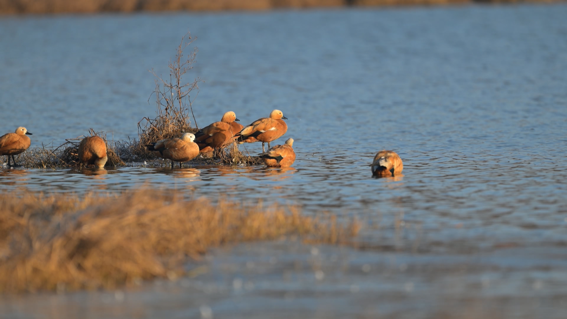 贵州新闻联播丨【美丽中国贵州行】厚植绿色底色 绘就美丽贵州