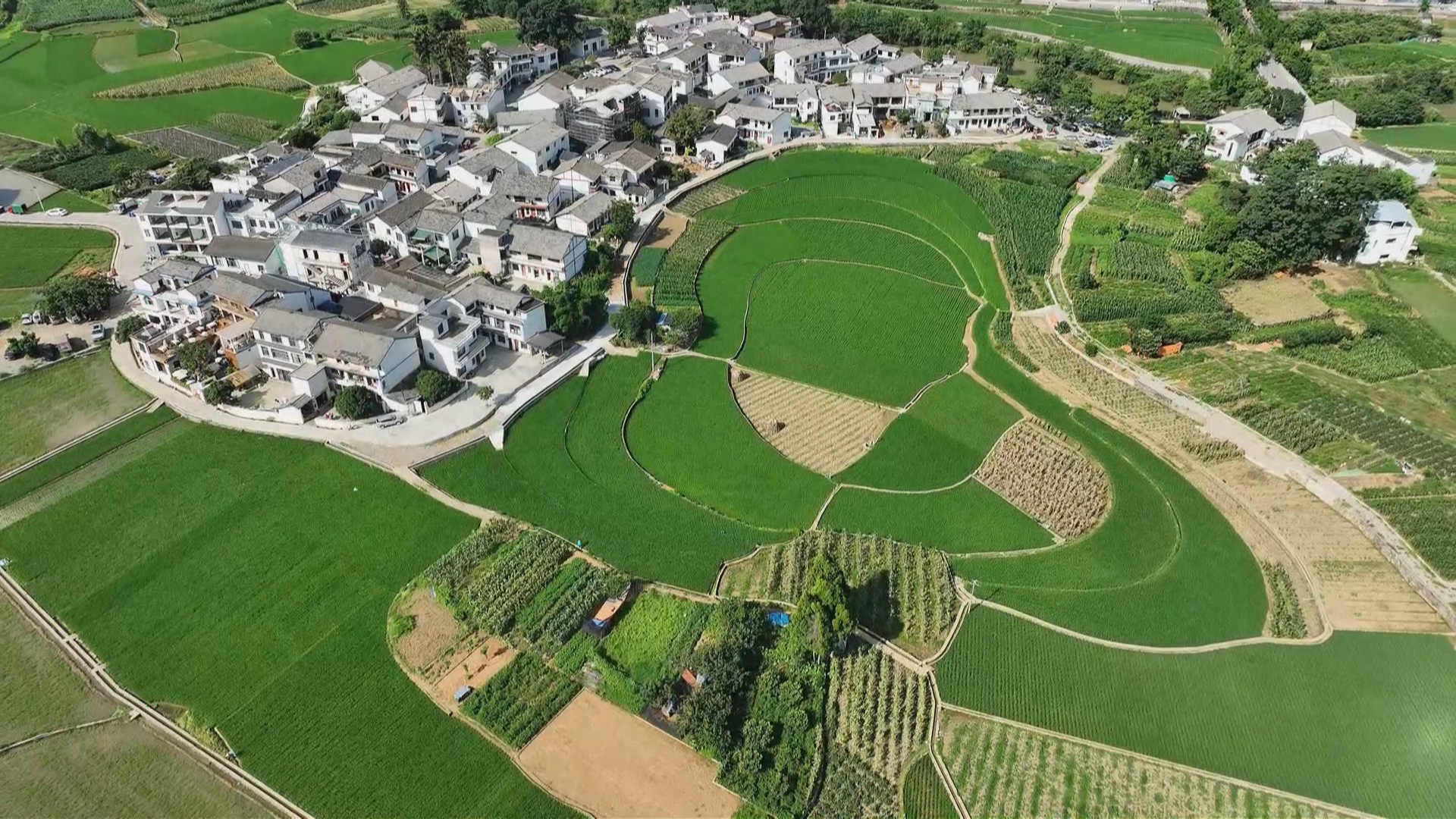 贵州新闻联播｜“民宿+”串联多元业态 贵州避暑旅居热度不减