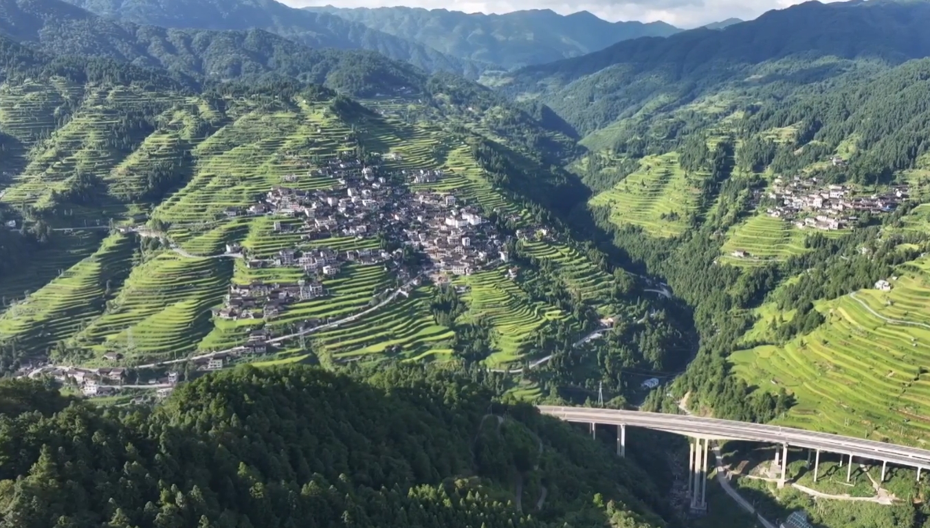 贵州雷山：大地指纹织锦绣，苗乡梯田酿秋色