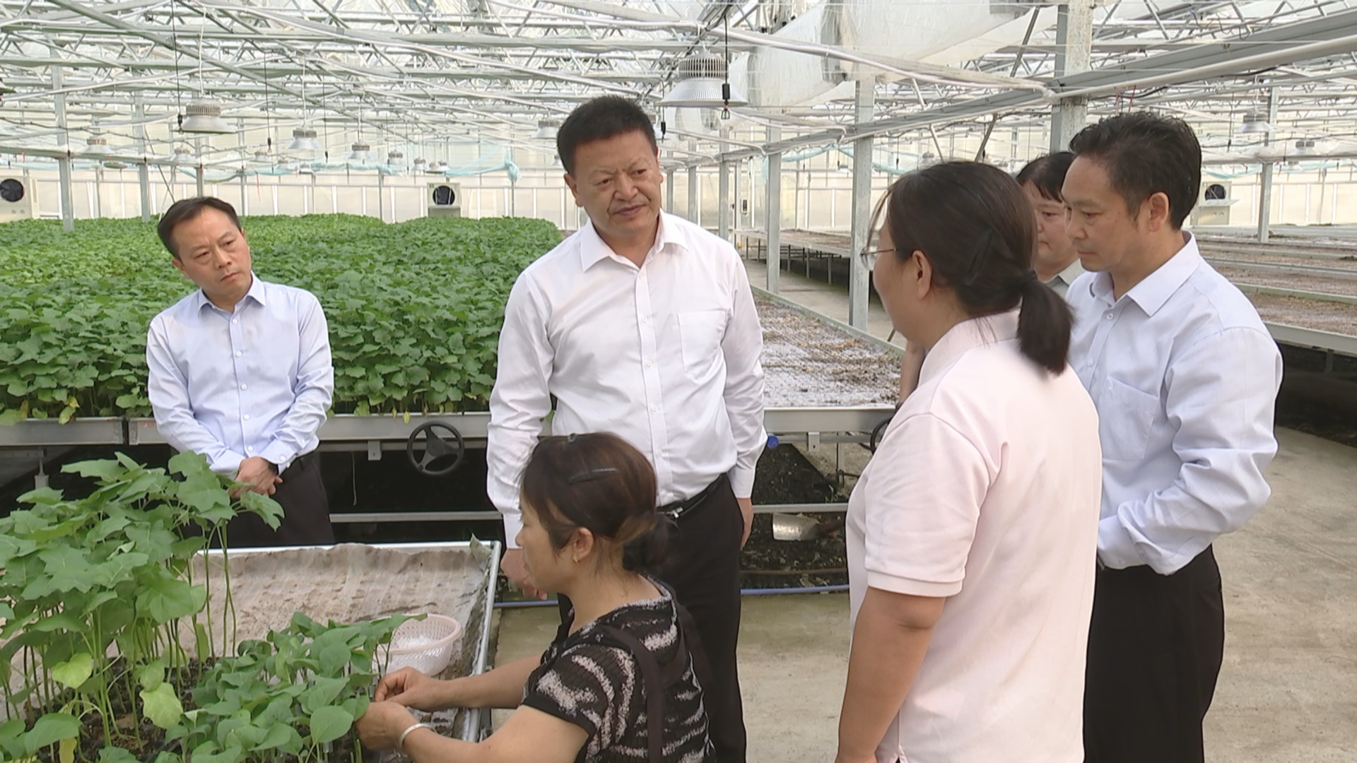 贵州新闻联播丨马汉成到遵义市调研常态化帮扶工作