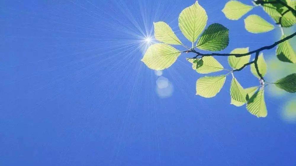 限时“秋凉”将到期，明起气温回升30℃以上区域增多