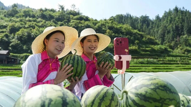 榕江县乡村主播韦心艳（左）和余江丽（右）在田间直播助农推销榕江西瓜（潘邵平 摄）