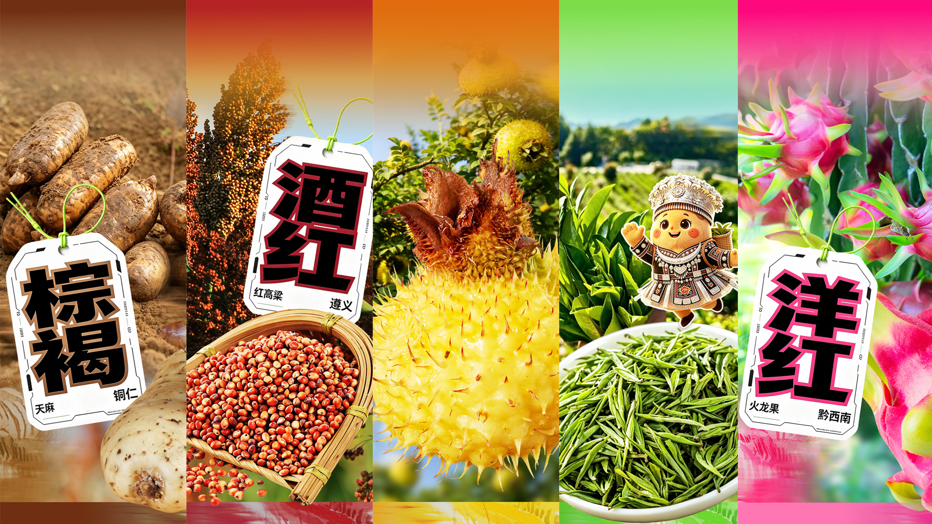 跟着洋芋仔去旅行 | 秋色里，看贵州迎丰收