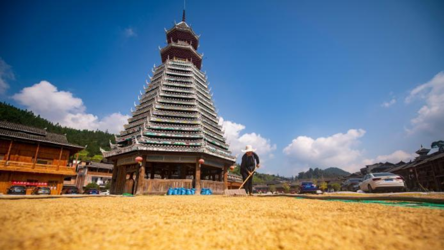贵州侗寨晒秋忙