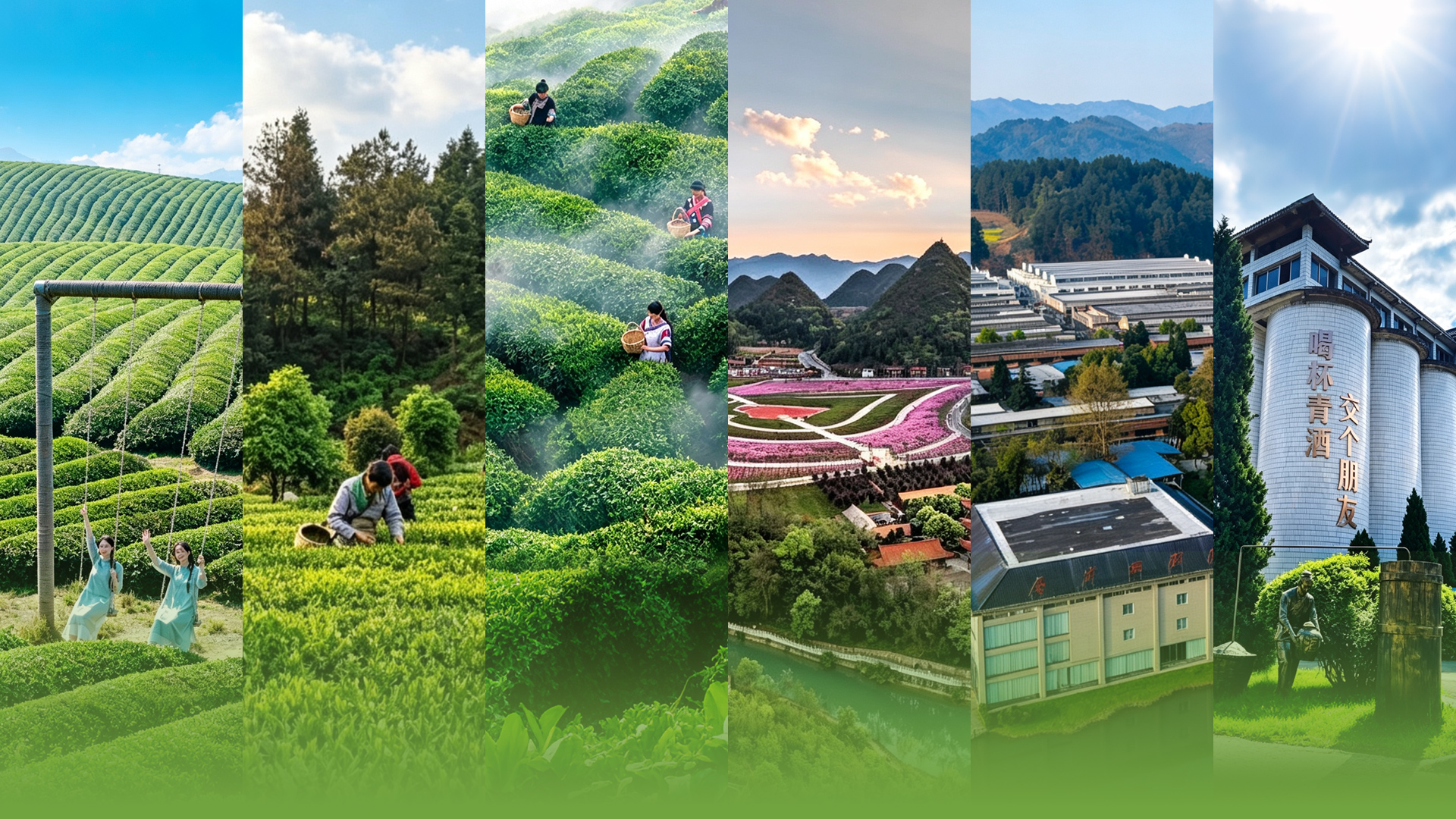 国庆·来贵州奔“县”丨风过黔山秀水，半是茶香半是酒