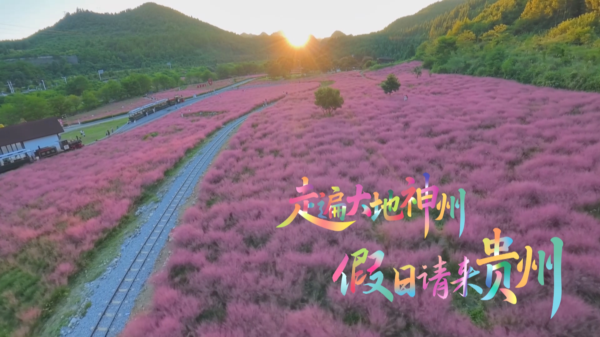 贵州新闻联播丨【假日来贵州】游花海 赏秋色 来长顺神泉谷赴一场粉色之约