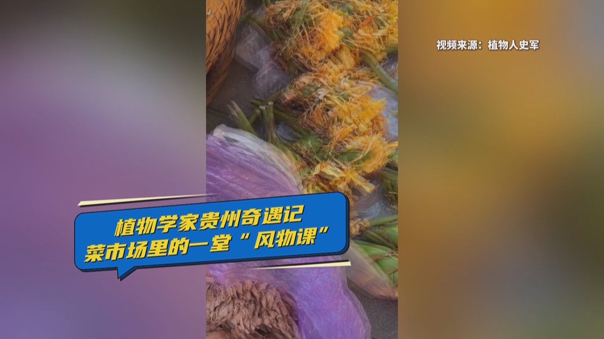 贵州新闻联播丨植物学家贵州奇遇记：菜市场里的一堂“风物课”