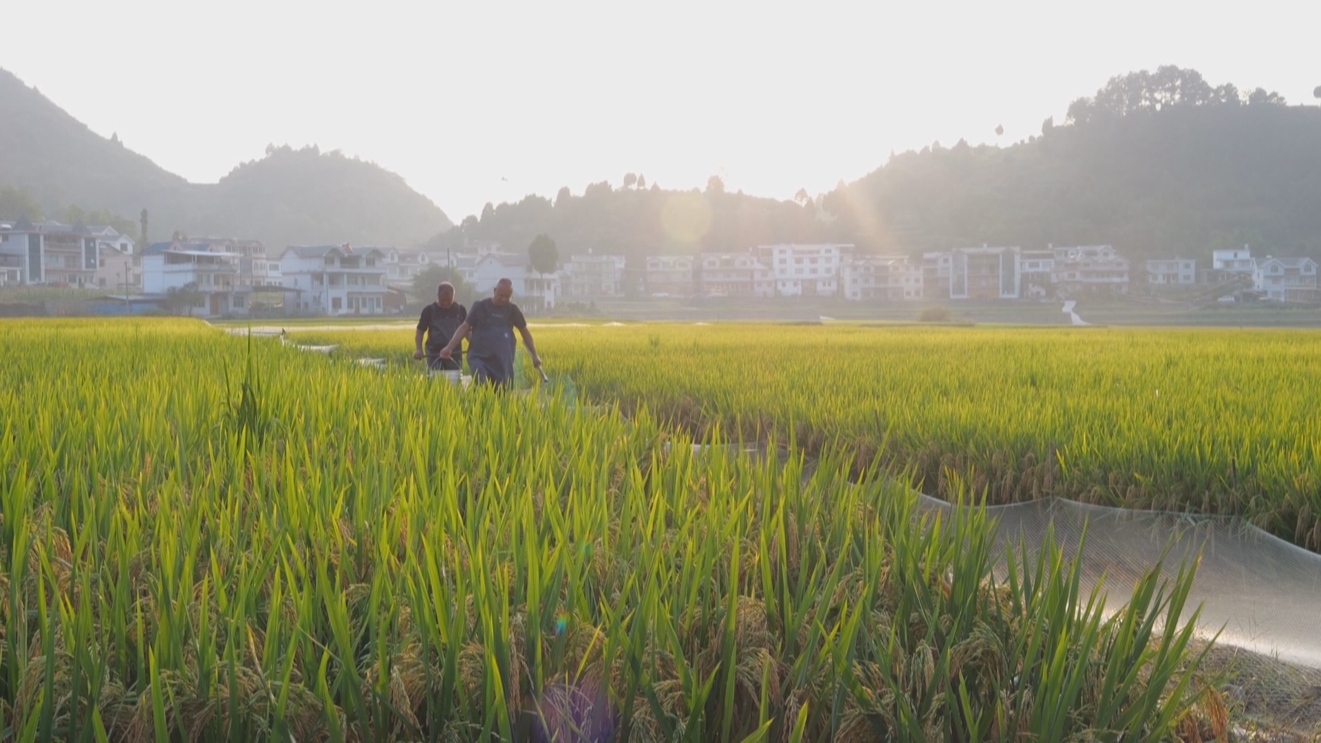 贵州新闻联播丨三代党员接力干 桐梓朱天村跑出乡村振兴加速度