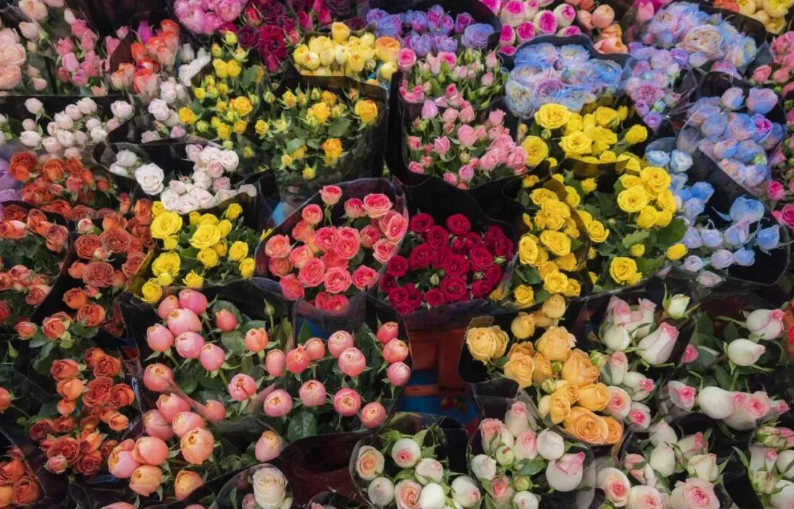 “护花使者”上线！贵州磷化无水石膏包装箱助力鲜花出口蒙古国