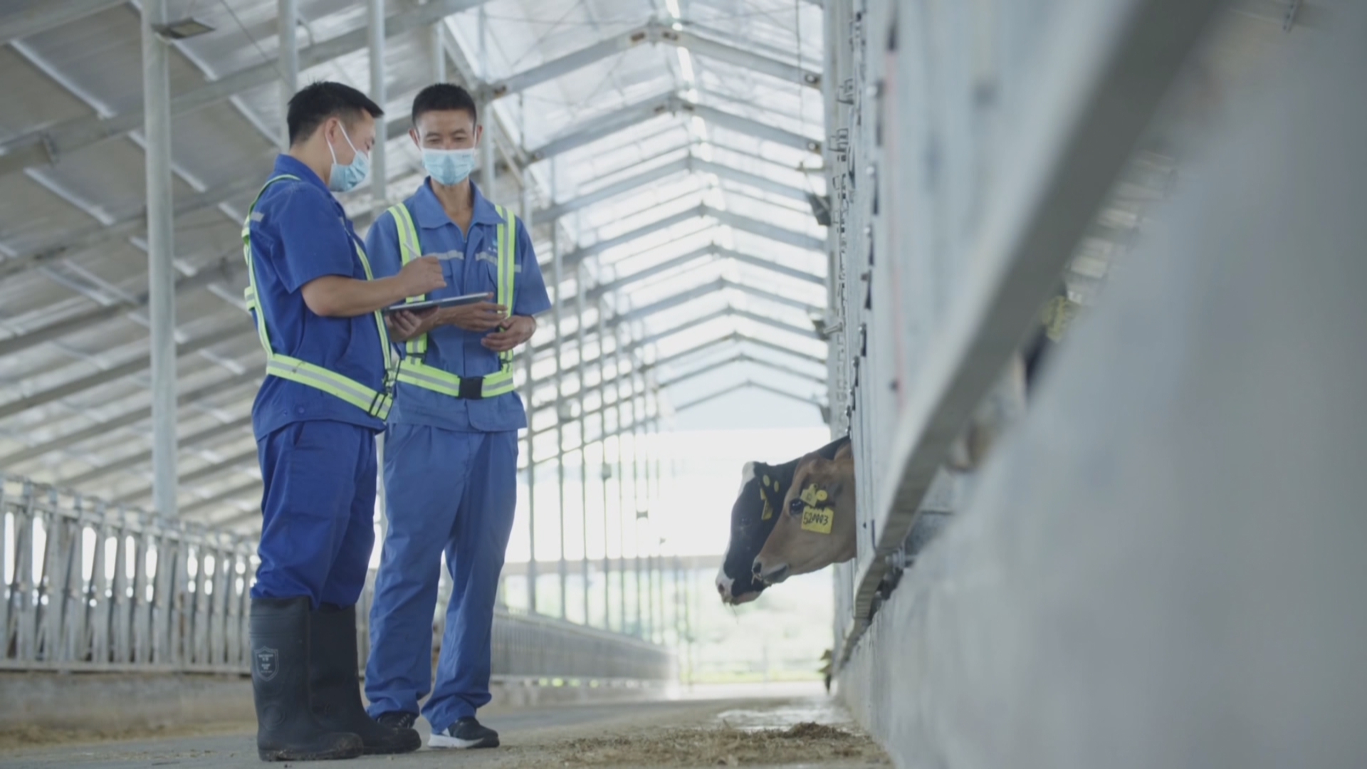 贵州新闻联播丨贵州本土龙头乳业今天北交所上市
