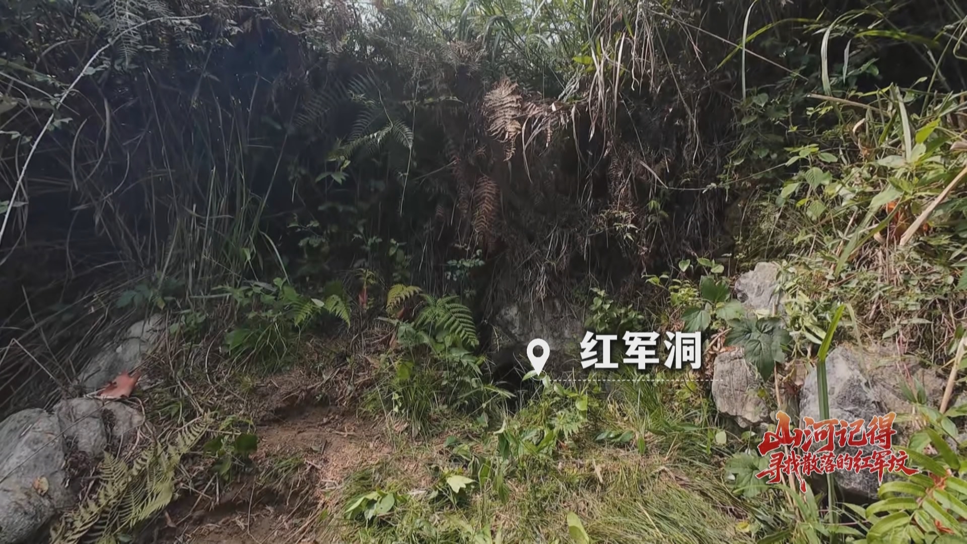 贵州新闻联播｜【赓续长征精神 奋进复兴征程】【山河记得——寻找散落的红军坟】9米深洞 村民打着手电捞出8名红军遗骸