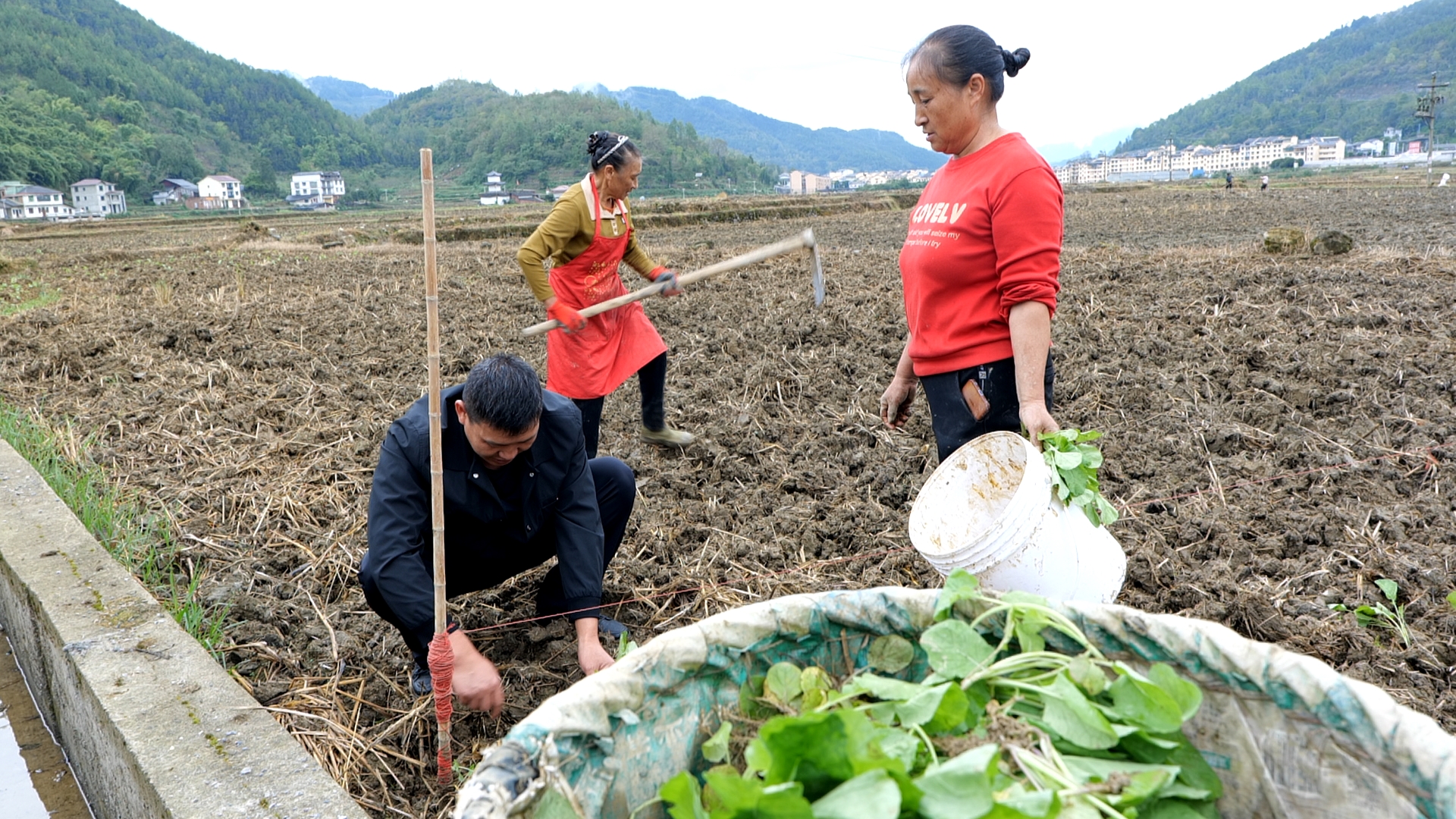 农业农村综合服务中心桂毅（左黑）教村民陈秀琼（右红）移栽油菜