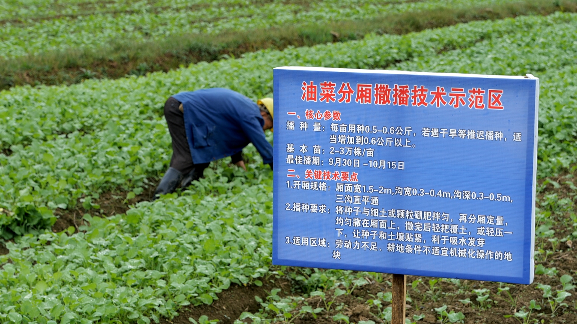 告示牌